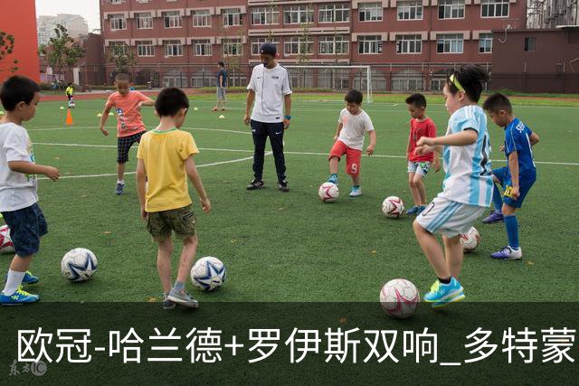 欧冠-哈兰德+罗伊斯双响 多特蒙德5-0大胜进欧联