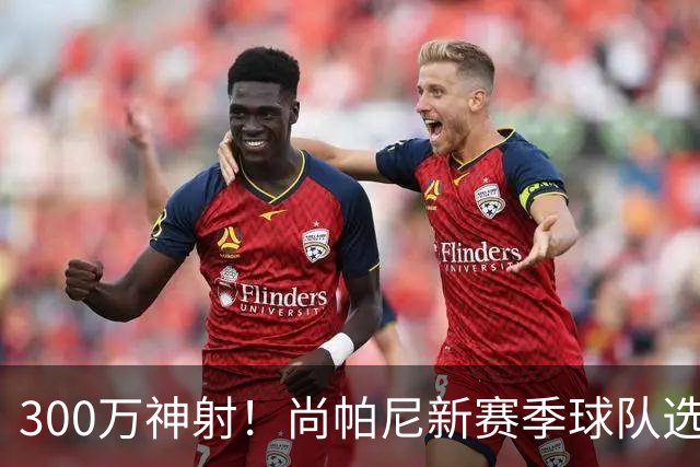 300万神射！尚帕尼新赛季球队选项 马刺可提供起薪2100万续约合同